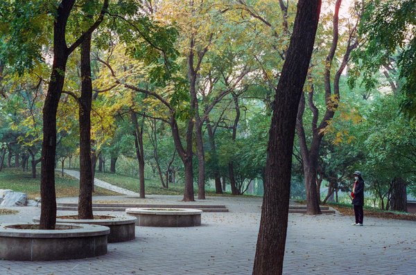 Coeliaquie : Identifier les Pièges Cachés dans notre Assiette