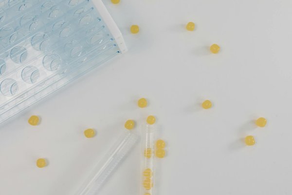 L'accompagnement des patients en fin de vie : Le guide incontournable pour les infirmiers